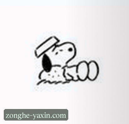 张磊
